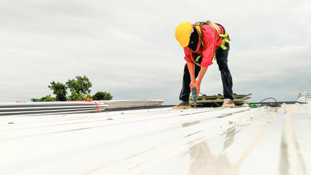 Best Rubber Roofing (EPDM, TPO)  in Linden, MI